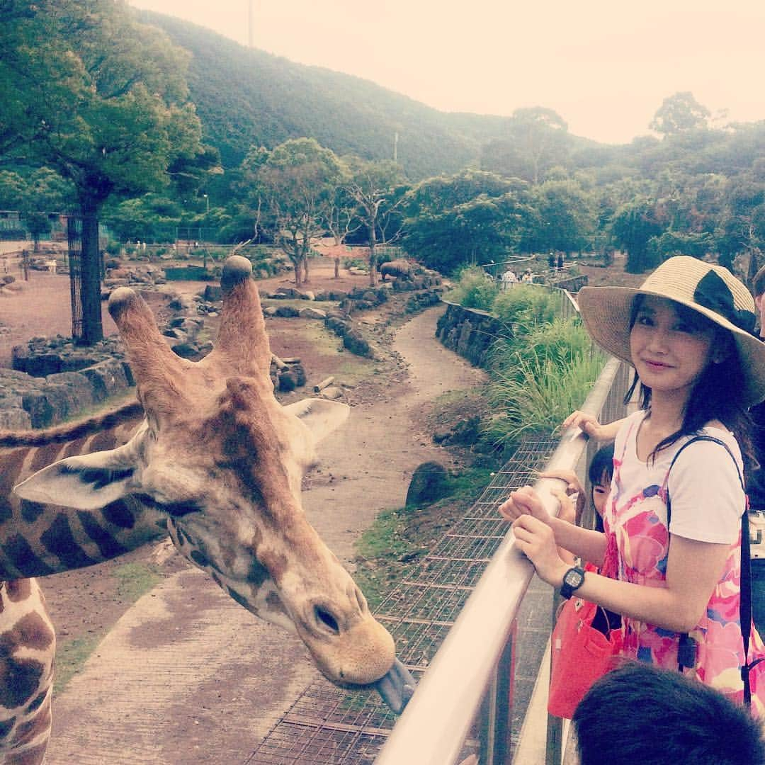 小原春香さんのインスタグラム写真 - (小原春香Instagram)「KIRIN💛私  #zoo #animal  #Blue  #SKY  #sweet  #voice  #SUMMER #vacation」8月13日 17時37分 - runrunrun0412koharun