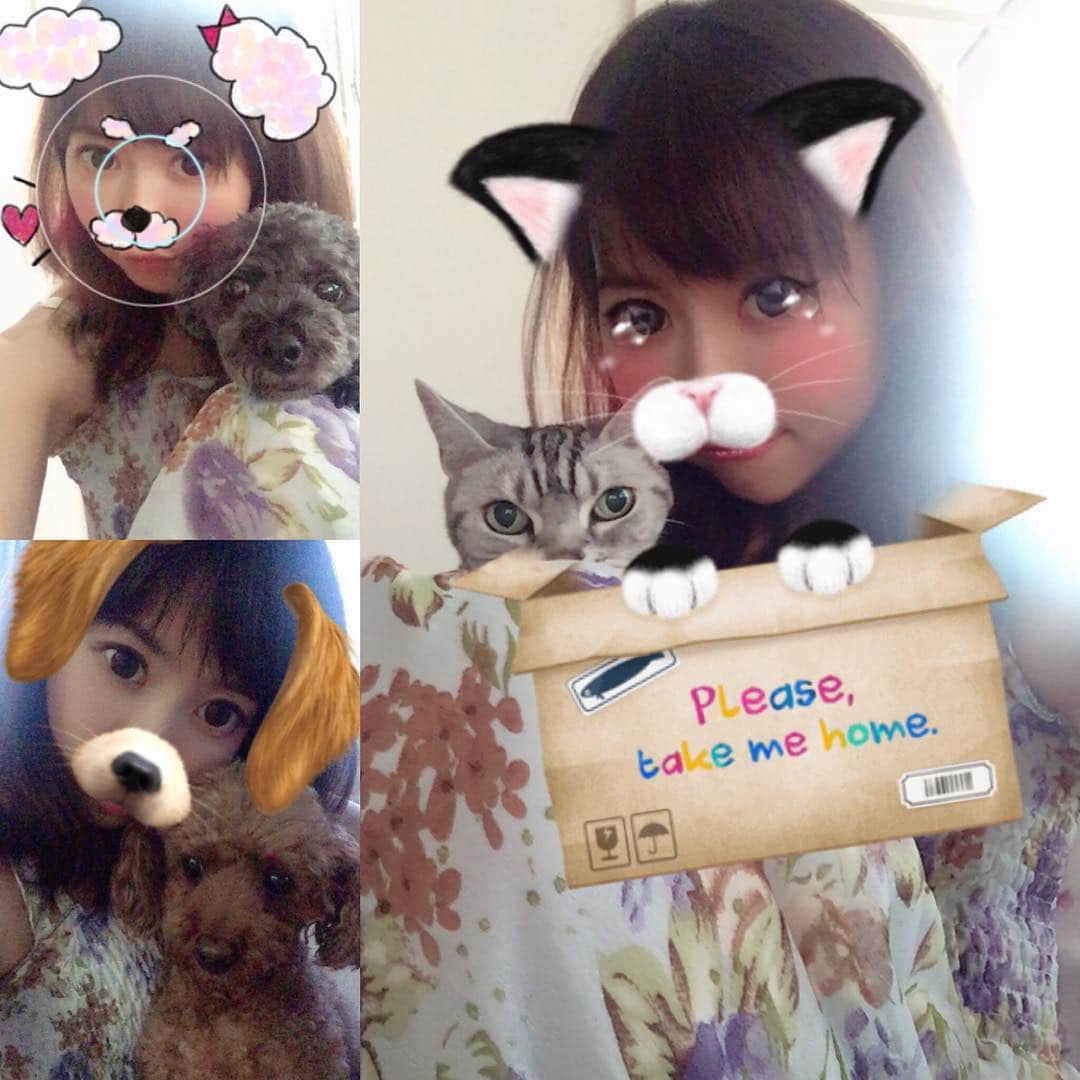 伊沢千夏のインスタグラム：「ペット達と〜ʕ　·ᴥ·ʔ　ʕ·ᴥ·　ʔ₍˄·͈༝·͈˄₎◞ෆ⃛̑̑ෆ⃛ #snow #やはり動物には認識されず #残念 #snow猫  #snow犬 #cat  #dog #dogs #snowcat  #snowdog  #犬猫大好き (♡︎´艸`)」