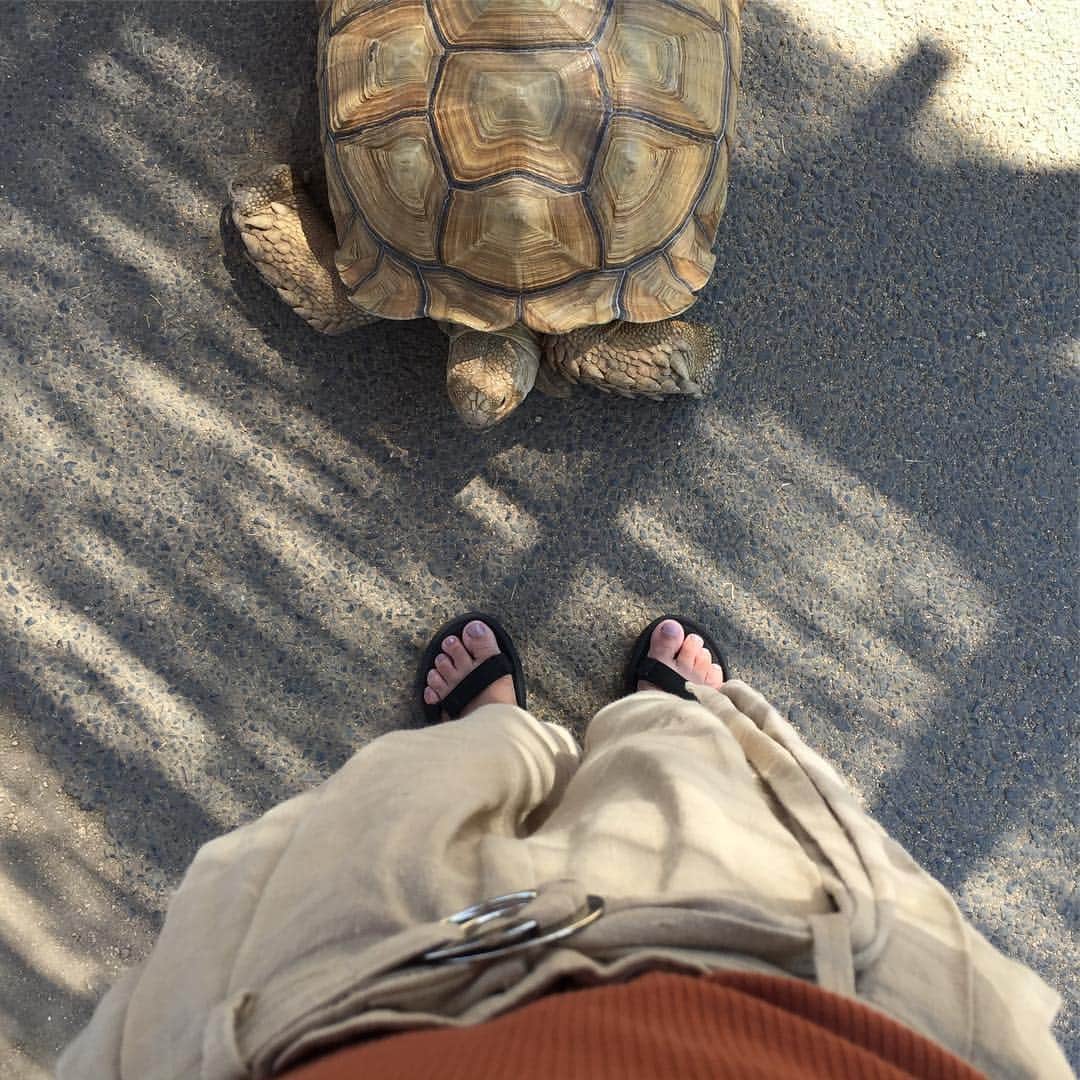yuuuu164のインスタグラム：「✒︎gm. . 足元くら部 with 🐢 . #gm #おはよう #日曜日」