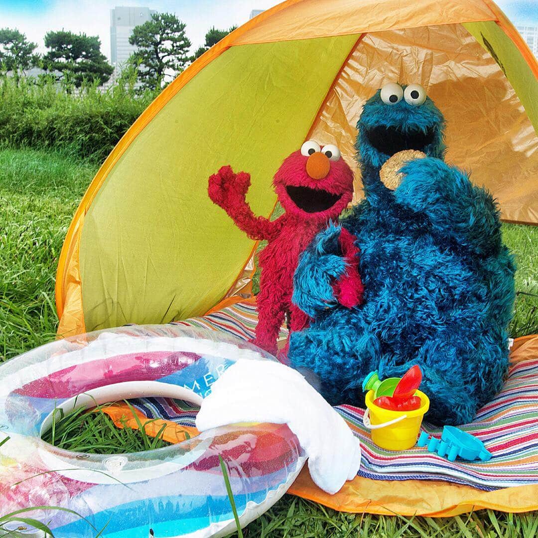 セサミストリートさんのインスタグラム写真 - (セサミストリートInstagram)「オイラ、エルモと仲良くキャンピング♪キャンピングの持ち物は、クッキーとクッキーとクッキー・・・！外で食べるクッキーは格別に美味しいね！-クッキーモンスター #セサミストリート　#sesamestreet　#セサミ　#エルモ　#Elmo　#クッキーモンスター　#Cookiemonster　#キャンプ　#camping　#夏　#summer」8月14日 12時24分 - sesamestreetjapan