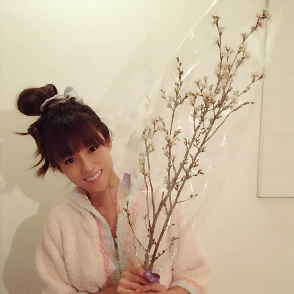 深田恭子のインスタグラム：「お花で1番桜が好き🌸 （絵文字の中でも1番好き😂） #季節感ない写真すみません💦 #kyokofukada」