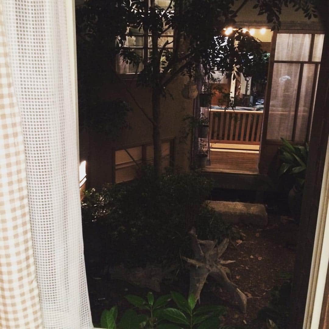 櫻井美咲のインスタグラム：「_ 部屋の窓から見える小さな庭☺︎意外と気に入ってる✨ #SHONAN #myroom #家の真ん中」