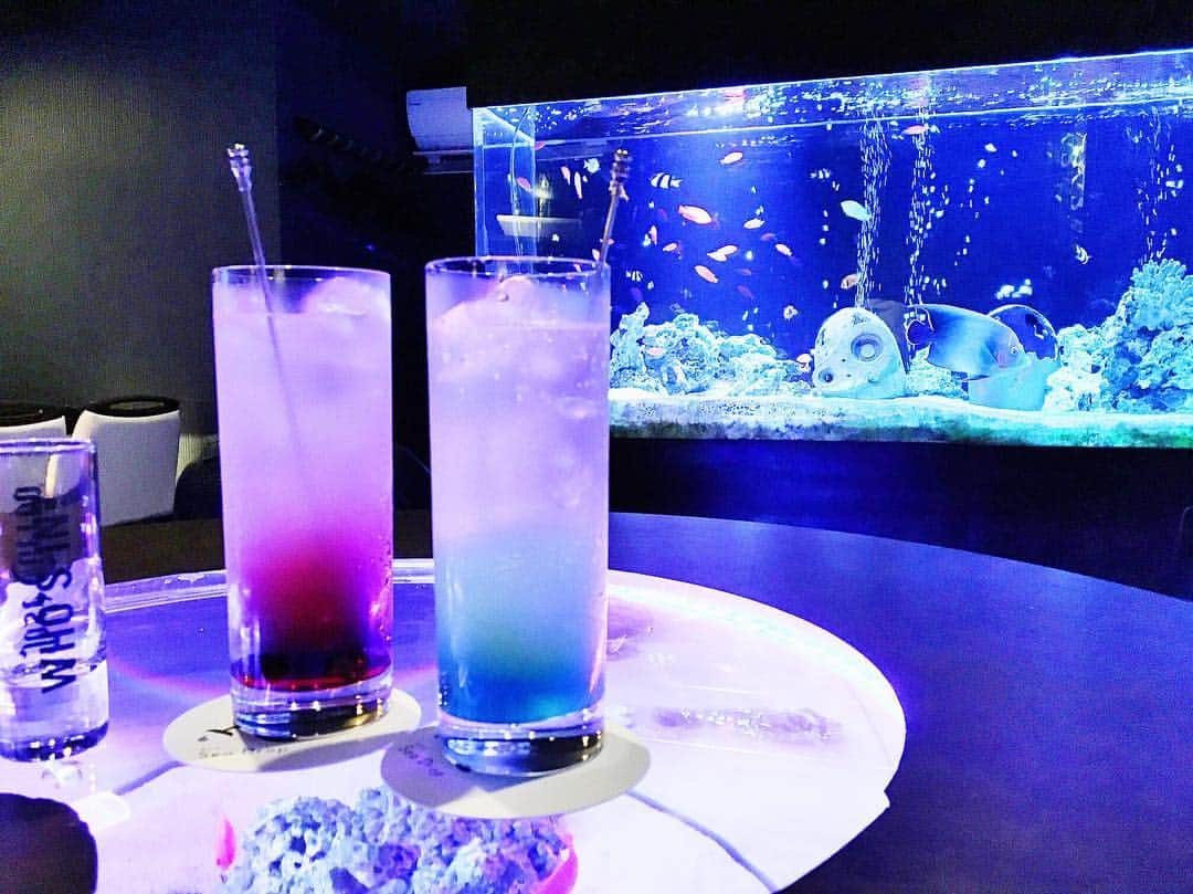 鈴木朱音のグルメインスタ