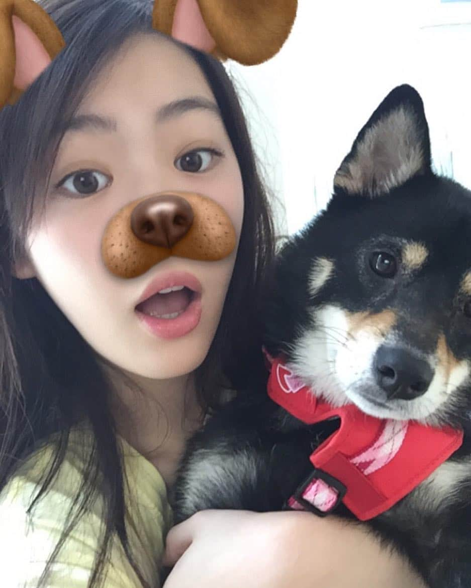 中村里帆さんのインスタグラム写真 - (中村里帆Instagram)「犬(?)と犬🐶🐕」8月18日 12時56分 - __rihostagram__