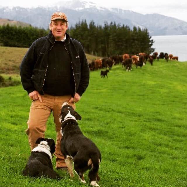 ニュージーランド牧草牛のインスタグラム：「ニュージーランドの農家は1,000ヘクタール単位の広大な農地で放牧しています。 ニュージーランドでは農業が主幹産業で、農業人口は30年前とほとんど変わっていません。 そして、農家のみなさんは自分達の仕事に大変誇りをもっていて、世界一幸せな職業だと言っています。 最高品質の牛肉の生産に大きく関わってくるため、家畜にストレスを与えず、のびのびと暮らせる環境を整えることがとても重視されています。最高品質の牧草を育てることにも細心の注意が払われているので、牛たちはいつでも新鮮で栄養たっぷりなおいしい牧草を食べて、幸せに暮らしているのです。  #ニュージーランド牧草牛#牧草牛#グラスフェッドビーフ#ビーフ#牛肉#赤身肉#農家#酪農#ニュージーランド」