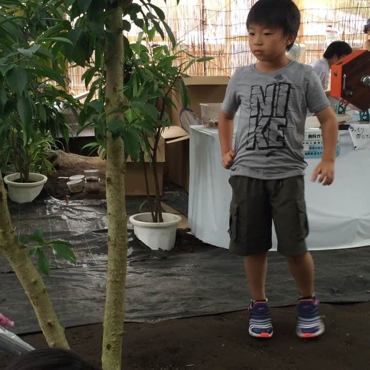 のインスタグラム：「続編です。」