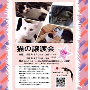 杉本彩さんのインスタグラム写真 - (杉本彩Instagram)「猫の譲渡会のお知らせが届きましたので、ご紹介させていただきます❗️ #猫の譲渡会 #猫の里親 #動物愛護 #保護猫#動物と共生する町作りの会」8月22日 19時24分 - sugimoto_aya0719