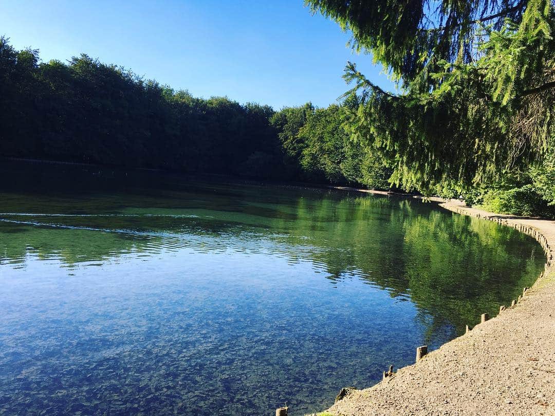 宇佐美蘭さんのインスタグラム写真 - (宇佐美蘭Instagram)「自宅から車ですぐの森の中にある湖🐥🐍水が透き通っていて綺麗だなぁ😊ゆっくりお散歩したよ♡ドイツに来ると時間の過ごし方が変わるなぁ🙃 太陽を浴びながらのーんびり☀️🚶 #散歩 #Spaziergang #ドイツ #アウクスブルク  #湖 #See」8月24日 19時22分 - usamiran_official