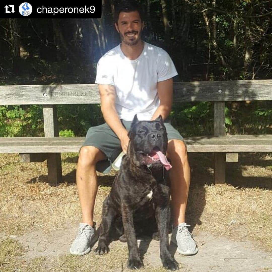 ジェームズ・トムキンスさんのインスタグラム写真 - (ジェームズ・トムキンスInstagram)「#Repost @chaperonek9 The Prince getting to know his new King 👑😂. @tomkinsofficial #chaperonek9 #familyprotectiondogs #familyprotection #canecorso #canecorsolovers #dogtraining #ppd #ppdog #trained #personalprotection #pose #traineddog #cropped #docked #brindle #beast #power #cpfc #workingdog #pet #dog #baller #premiership #protection @cane_corso_world @premierleague @official_cpfc」8月25日 20時39分 - tomkinsofficial