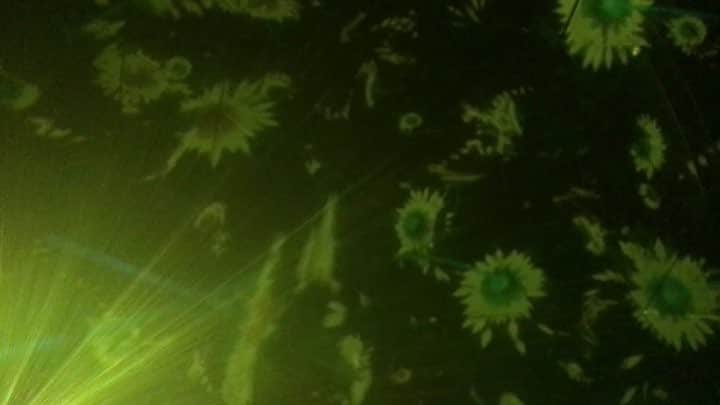 のインスタグラム：「『DMM.プラネッツ Art by teamLab』 ～Floating in the Falling Universe of Flowers～ . . #DMMplanets 開催期間は8月31日(水)まで。 . 25日(木)、29日(月)は貸し切りのため、18:00までの営業となります。 #DMMプラネッツ #DMMcom #チームラボ #teamlab #お台場みんなの夢大陸」