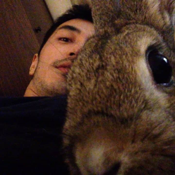 藤井裕史のインスタグラム：「Me and my bunny. #rabbit #animal #bunny #chestnut」