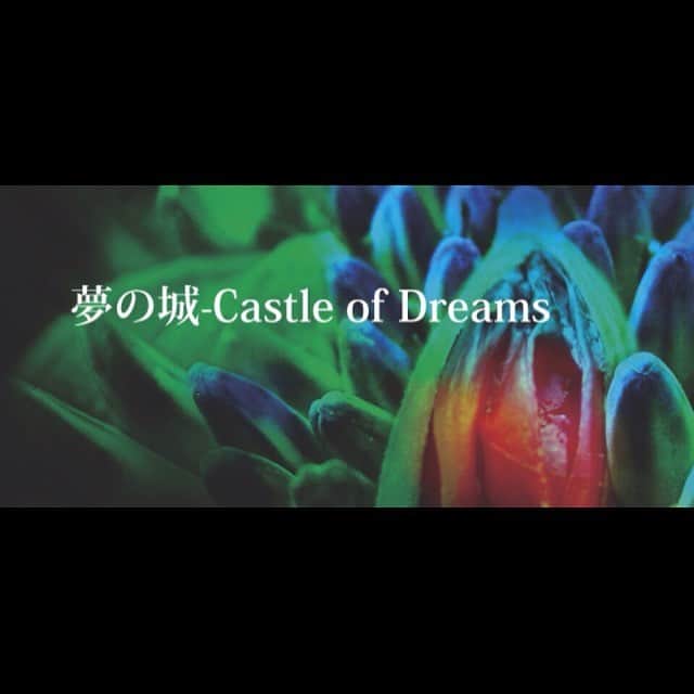 遠藤留奈さんのインスタグラム写真 - (遠藤留奈Instagram)「#夢の城 #castleofdream #ポツドール」8月25日 18時57分 - rurururururu_na
