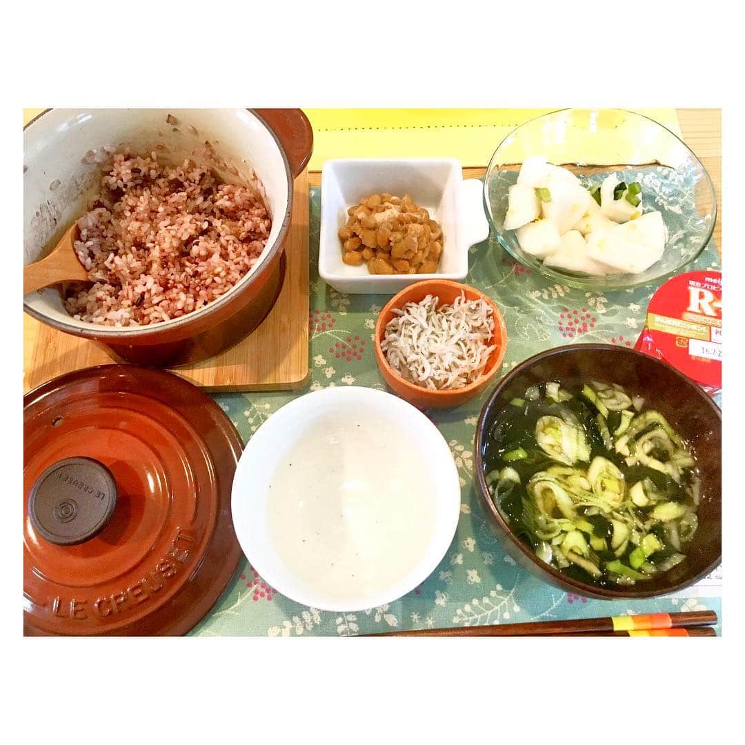 吉田知那美さんのインスタグラム写真 - (吉田知那美Instagram)「#breakfast ・ ・ 一合ならルクルーゼで🍚 洗うのが楽だから。マイペースなのにせっかちだから。 #いつかの朝ごはん ・ ・ #カナダでは炊飯器で炊きます。 #スゴイ量を🍚🍚🍚🍚🍚🍚 #漬け物はつけます #売ってないから #cooking」8月26日 15時54分 - chinami1991