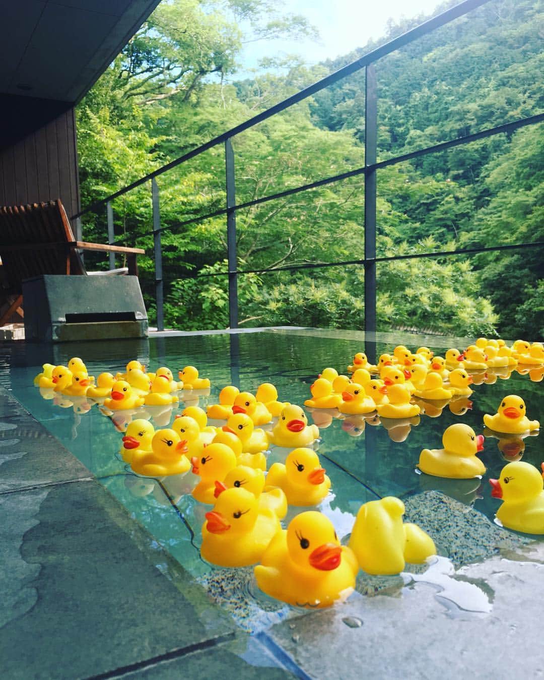 笛木優子のインスタグラム：「温泉行きたいなあ。。♨️🐥💓 ここは🐣100匹無料貸し出し w また行きたい。。」