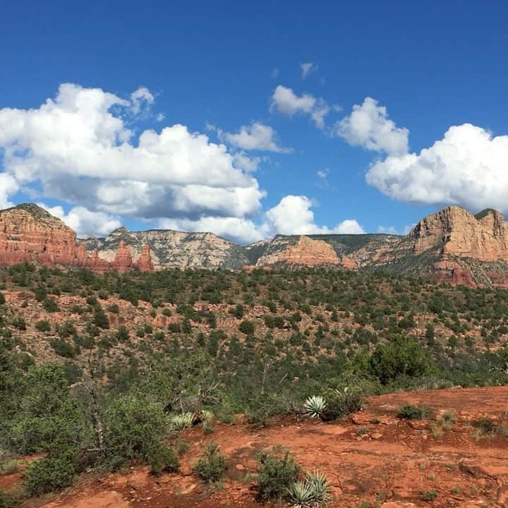 久保田智子のインスタグラム：「#セドナ #cathedralrock #Sedona #vortex」