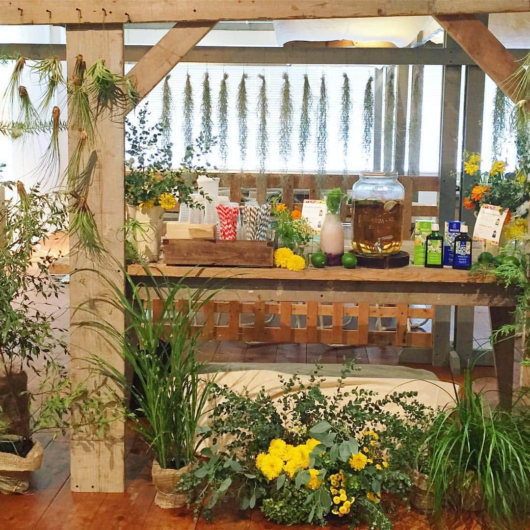 GARTENのインスタグラム：「今日はグリーンに囲まれた楽しい空間でケータリング。 オリジナルドリンクやサラダなど、サンドイッチ以外のケータリングも人気です🌿」
