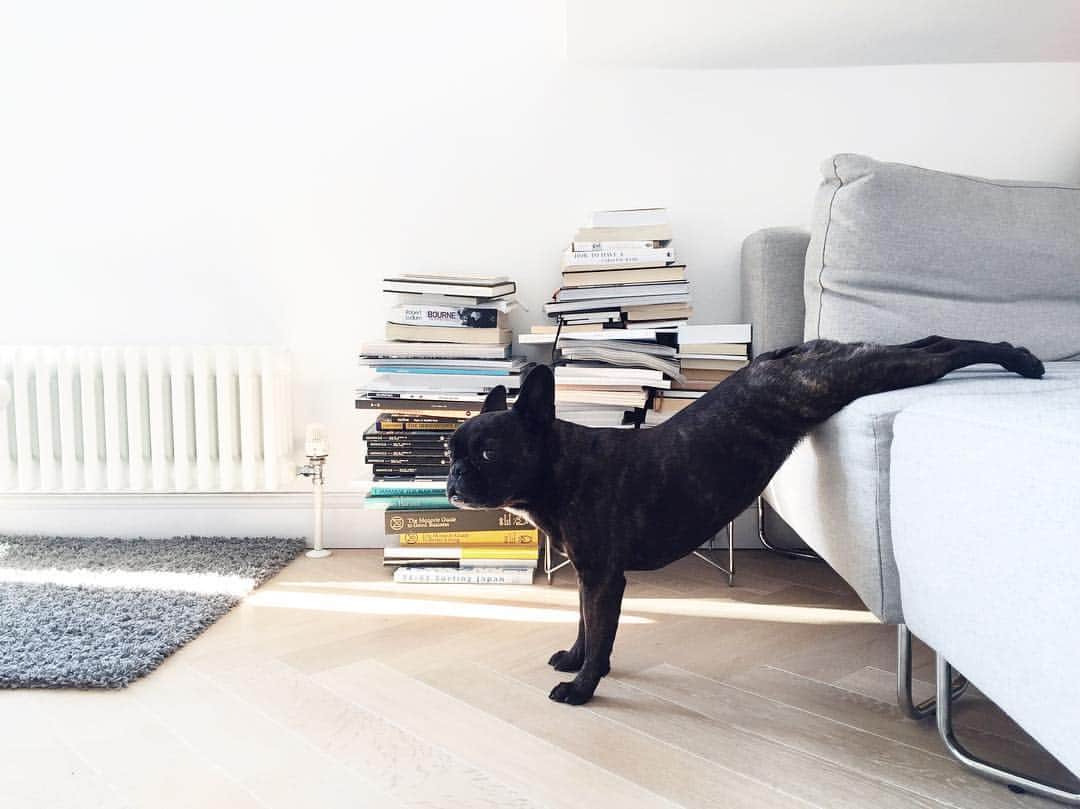 dearbetaのインスタグラム：「Midday workout」