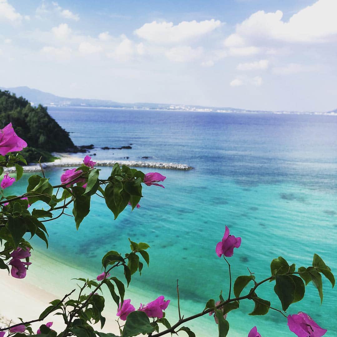 のインスタグラム：「🐚✨✨」