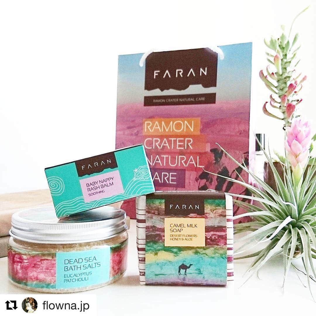 faran japanのインスタグラム：「素敵な写真😍 ありがとうございます！  限定ショップは今日が最終日、20時半までです。お近くにお越しの際はぜひお立ち寄り下さい✨  #Repost @flowna.jp with @repostapp ・・・ FARAN  小田急百貨店新宿店2階サンドリーズアレーで今日までのFARAN期間限定ショップへ行って来ました～  この間Webで売り切れだったベビーナッピーラッシュバームにすっきりした香りのユーカリパチョリバスソルト、展示会で見て楽しみにしていたキャメルミルクソープを購入☺✨ 今回のキャメルミルクソープ今までと違うつるっとした洗い心地らしく、使うのが楽しみ❤  エアプランツのチランジアも小さい花が開いてきた🌼 奥に写ってるのは可愛がっているモナデニウム・ルガルディ白斑。 だいぶ光で飛んじゃってるけど、スタイルのいい子です😍(趣味の世界)  #faran #babycare #organic #naturalskincare #naturalingreaients #ramoncrater #negev #green #herb #madeinisrael  #shinjyuku #popupshop #dedsea #dedseabathsalt #bathsalt #camelmilk #balm #soothing #bodyscrub #小田急新宿」