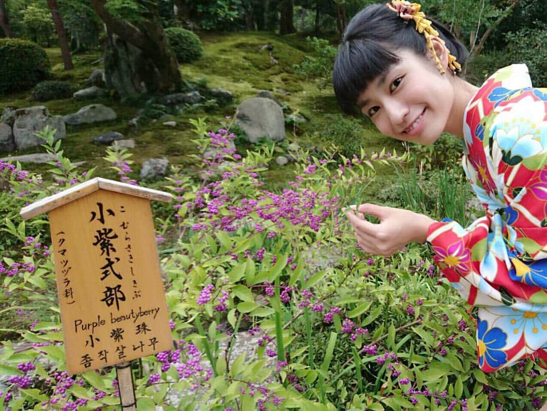 坂田麻衣のインスタグラム：「かく云ふ花の名。  #京都 #kimono #kyoto #着物」