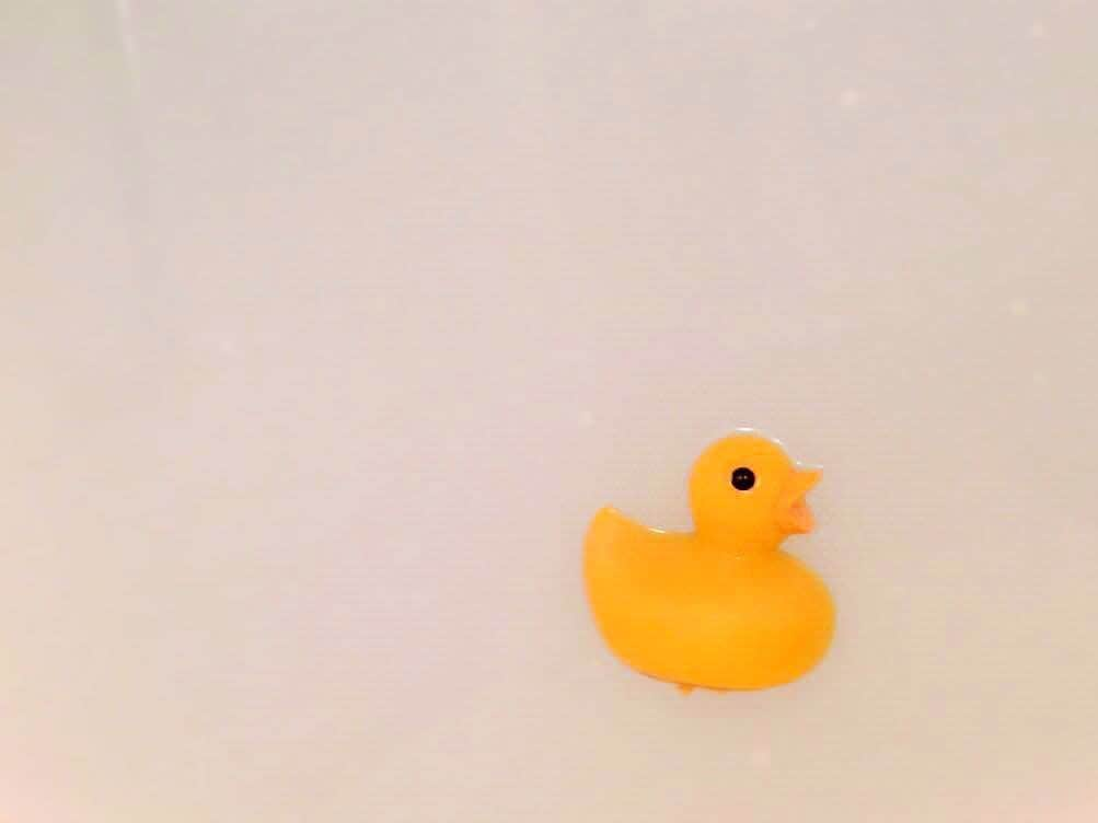 泉里香さんのインスタグラム写真 - (泉里香Instagram)「バスタイム🛁 きょうは20×2の40ぷん🐣 アヒル隊長はダウンしてました。 根性が足りんな(￣^￣)🐤 #りかボディ#デトックス#癒し#エロふわボディ製作所」9月30日 21時28分 - rika_izumi_