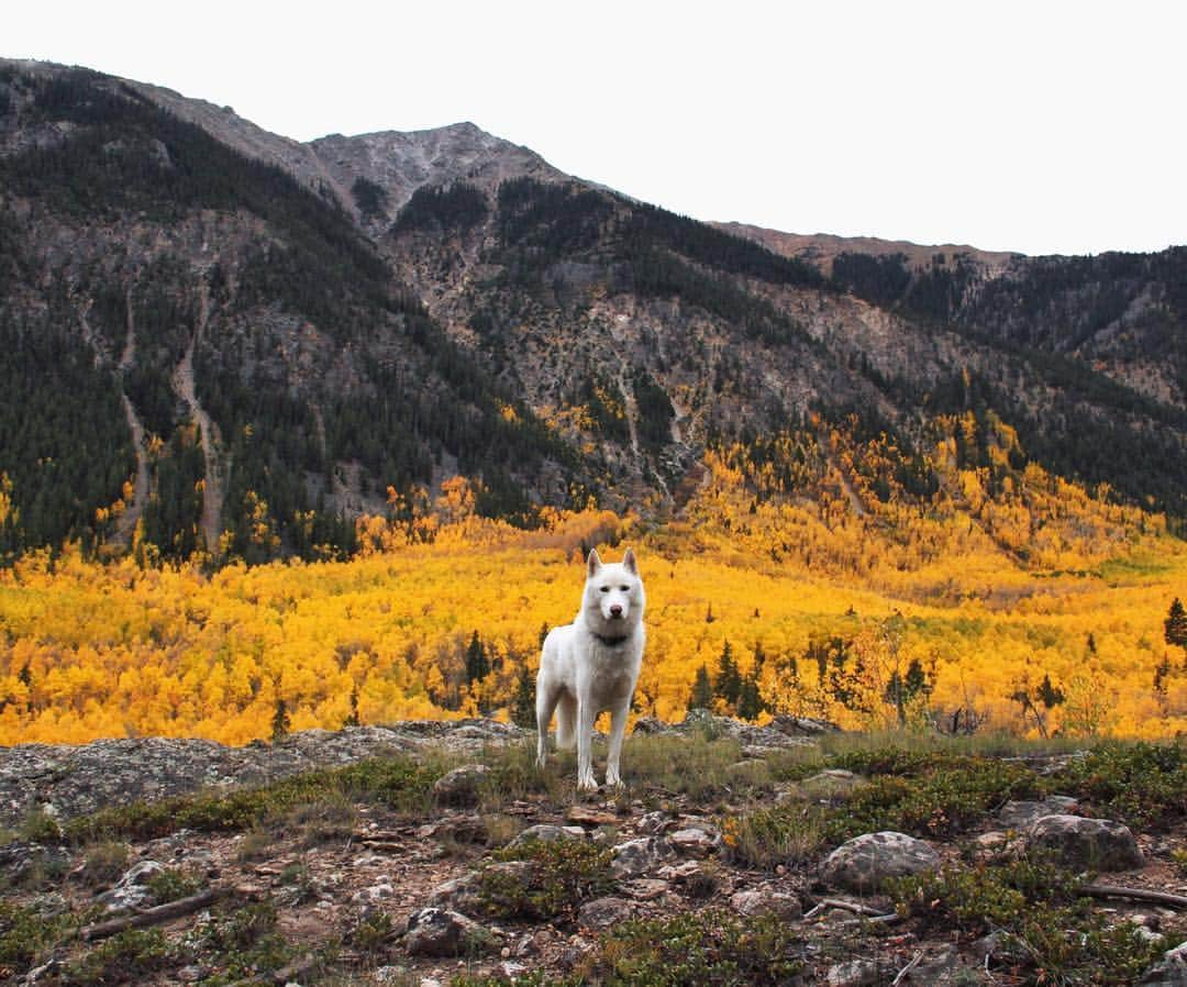 John Stortzのインスタグラム：「Spoiled stupid with beauty on the drive from Aspen down to the San Luis Valley.」