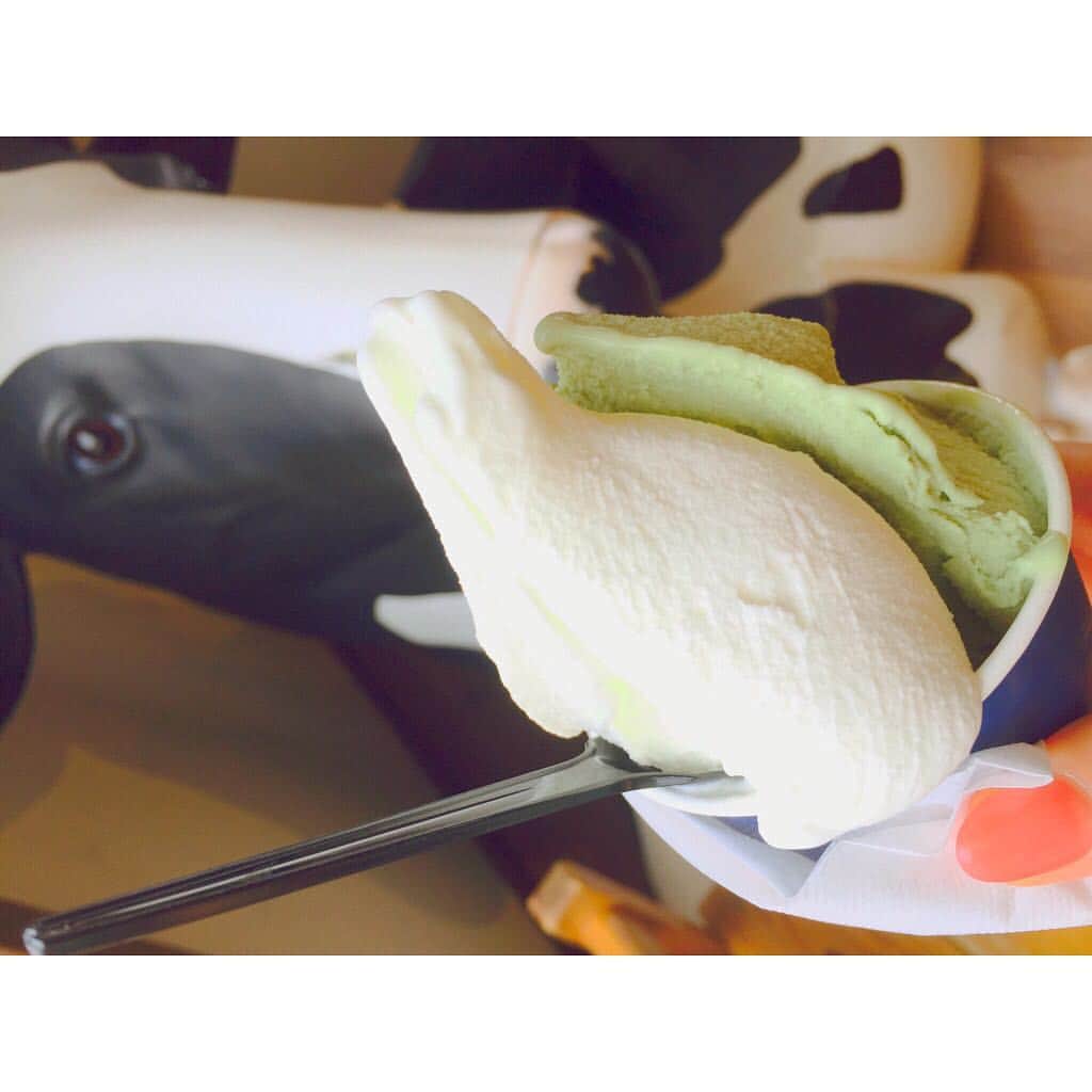 西村笑花さんのインスタグラム写真 - (西村笑花Instagram)「🐄🍨♡♡ ・ ・ ミルクとピスタチオのジェラート💕 #yum #濃厚 #うまうま #幸せ #ジェラート #gelato #ice #loveicecream #北海道 #emika_trip  #🐄 #🐮 #🍨」9月28日 12時12分 - emika_nishimura