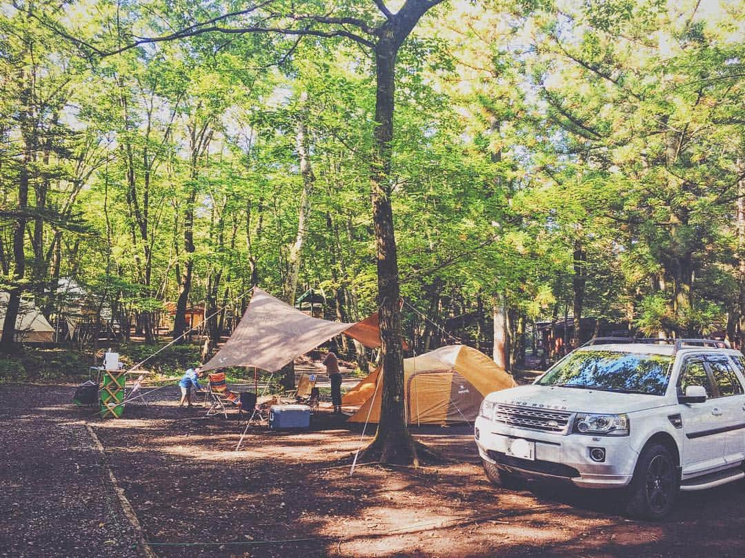 梅本祐紀のインスタグラム：「鹿と狸に遭いました。 ・ ・ #snowpeak #camp #autocamp #camper #daycamp #landrover #rangerover#freelander #freelander2 #ランドローバー #レンジローバー #フリーランダー #フリーランダー2 #スノーピーク #キャンプ #キャンパー #オートキャンプ #デイキャンプ」