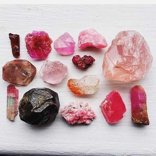 レンのインスタグラム：「Morning good vibes 💕」