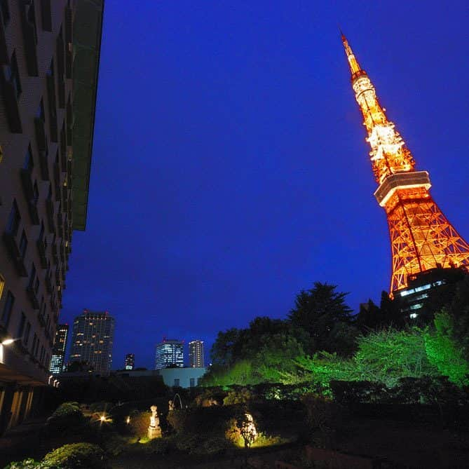 東京プリンスホテル / Tokyo Prince Hotelのインスタグラム：「【東京プリンスホテルの想い出】 客室や、ブッフェレストラン「ポルト」から見える夜の東京タワーは格別。  #reborn_tph #写真投稿キャンペーン  #東京プリンスホテル#東京タワー#夜景#ポルト#プリンスホテル#ブッフェ#ホテル#tokyoprincehotel#tokyotower#buffetrestaurant#princehotel #hotel#tokyo#japan  #また来年桜の咲く頃にお会いしましょう」