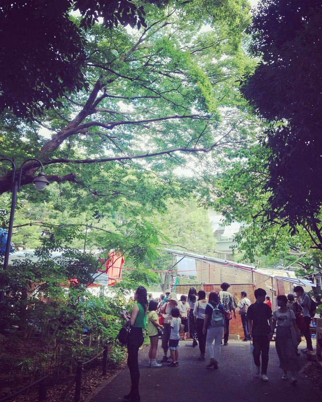 坪井保菜美さんのインスタグラム写真 - (坪井保菜美Instagram)「東京藝術大学のキャンパス内にはモクモクとしたたくさんの緑が続いてて、とても気持ち良かった🌳✨」9月7日 0時30分 - honamitsuboi