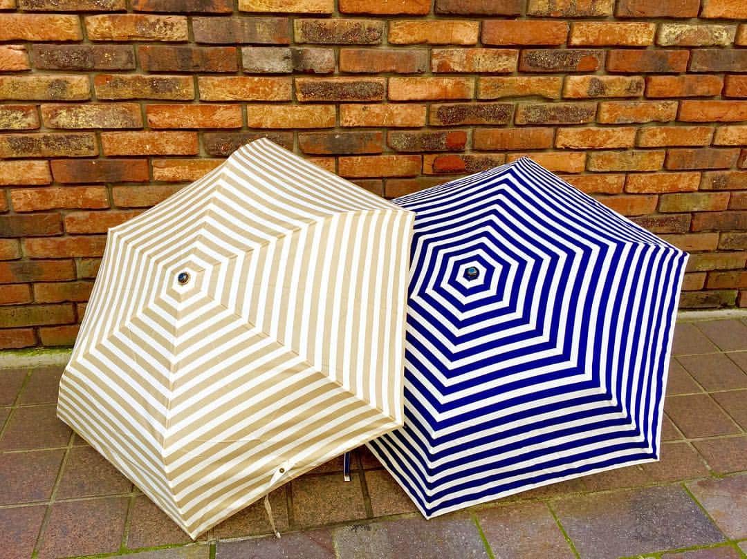 Techichiのグルメインスタ