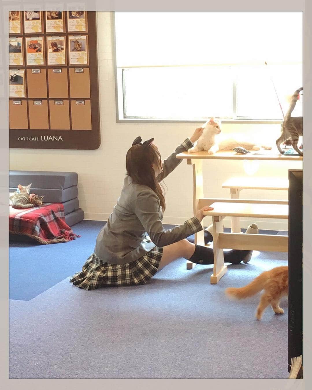 植田碧麗のインスタグラム：「猫ちゃん好き好き大好き愛してる一緒に暮らしましょう💓🐈💓🐈 #猫カフェ #岡山 #なんしょん」