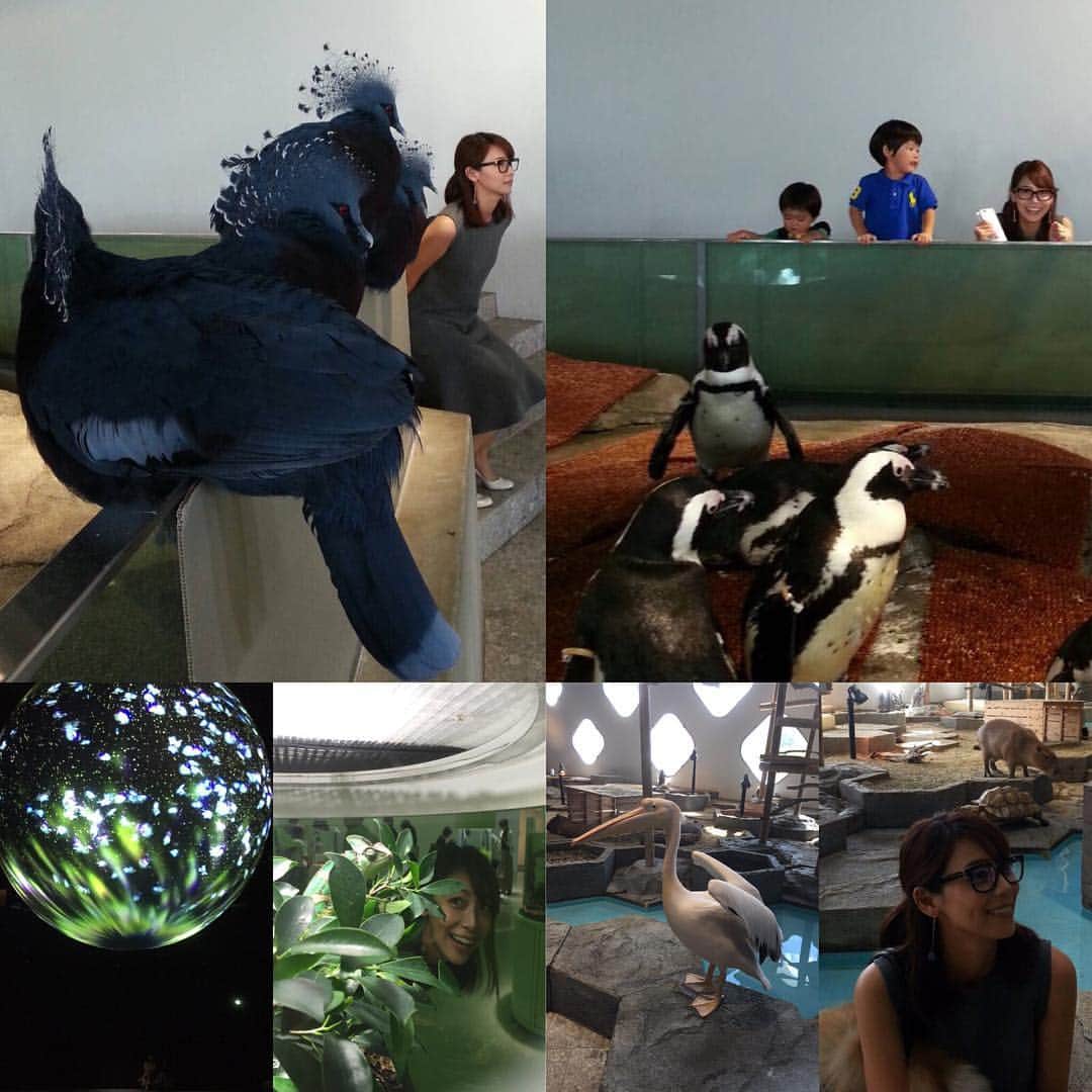 相武紗季のインスタグラム：「🐧🐢🐠🐊🕊🐒」