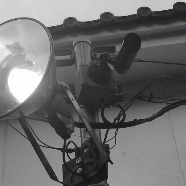 石山蓮華のインスタグラム：「#いい電線 #電線」