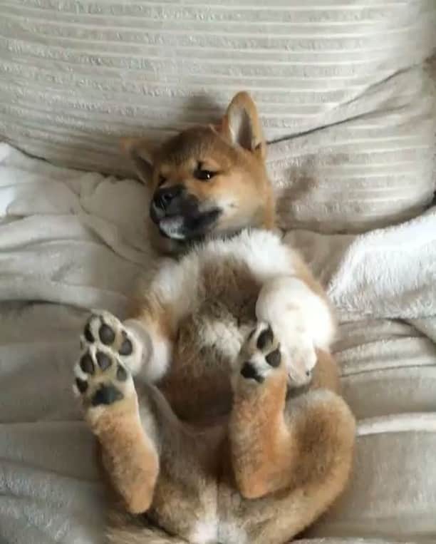 生野優子のインスタグラム：「😪mood」