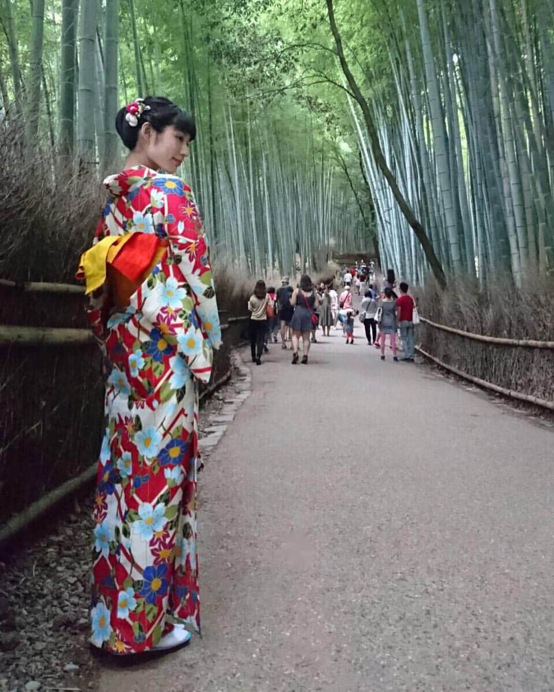 坂田麻衣のインスタグラム：「竹林とお着物の後ろ姿。 自然を例える語彙が乏しい。 日本の国土、約7割は森林。 #着物 #京都 #竹林 #kimono」