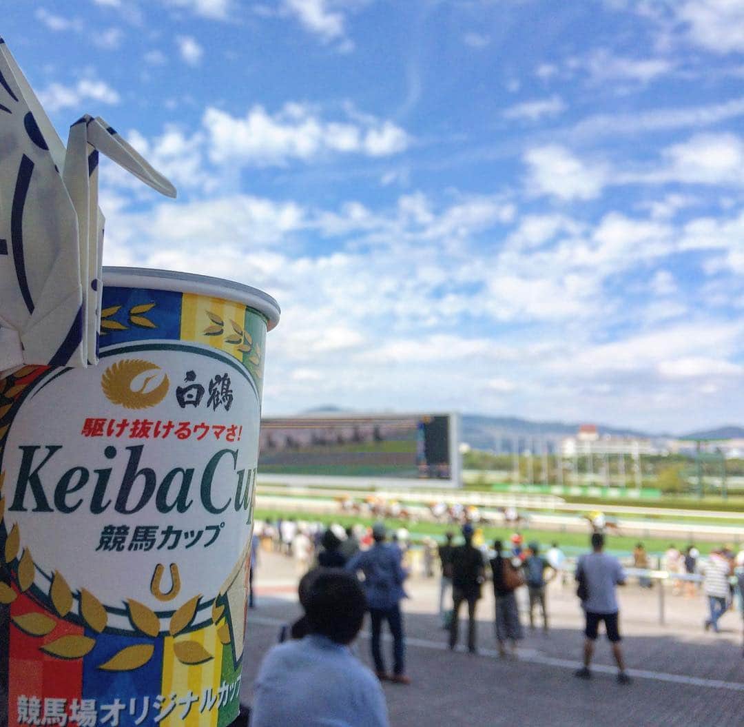 白鶴酒造株式会社のインスタグラム：「9/16は「競馬の日」。今日は、スーパーなどのお酒売場では目にすることのない、レアな商品をご紹介します。 その名も・・・ 「競馬カップ」！！ 競馬場オリジナル商品です。お見かけの際は、「駆け抜けるウマさ！」の「競馬カップ」を片手に、競走馬のレースを観戦してくださいね！ ※お取り扱いのない競馬場もございます。  #白鶴 #日本酒 #hakutsuru #折り鶴 #foldedpapercrane #japan #神戸 #kobe #酒 #sake #japanesesake #競馬 #競馬カップ #keibacup #必勝 #阪神競馬場 #駆け抜けるウマさ！」