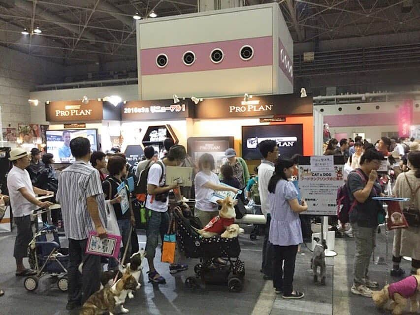 Purina Pro Plan Japanさんのインスタグラム写真 - (Purina Pro Plan JapanInstagram)「○ 【限定1000名様にプレゼント】#ピュリナプロプラン ブース盛りがっております🐾 アンケートにお答えいただくと、800gもしくは1.3kgの製品をドドン！もプレゼント🐶❤️ ぜひ、#ペット博 大阪へお越しください🚗💨 🐶 #ペット博 #ペット博大阪 #インテックス大阪 #ピュリナ #プロプラン #purina #ProPlan #ピュリナ最高峰のプレミアムニュートリションフード #ペットフード #ドッグフード #cat #愛犬」9月18日 1時02分 - proplan_dog_jp