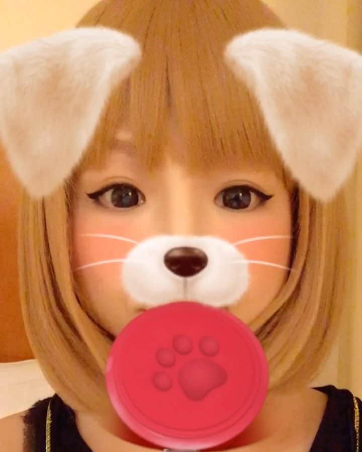 こしじまとしこのインスタグラム：「犬 #犬 #snow #ンパッ #音消すの忘れたよ」