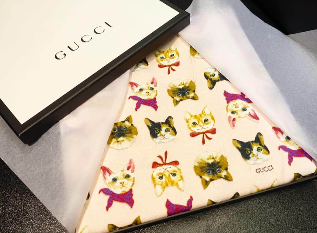 泉里香さんのインスタグラム写真 - (泉里香Instagram)「ねこばっく😽 ネコでピンクとか😽💕 わたしの好きが詰まりすぎ💕 #トートバッグ #gucci#cat#bag#ねこ」9月19日 13時52分 - rika_izumi_