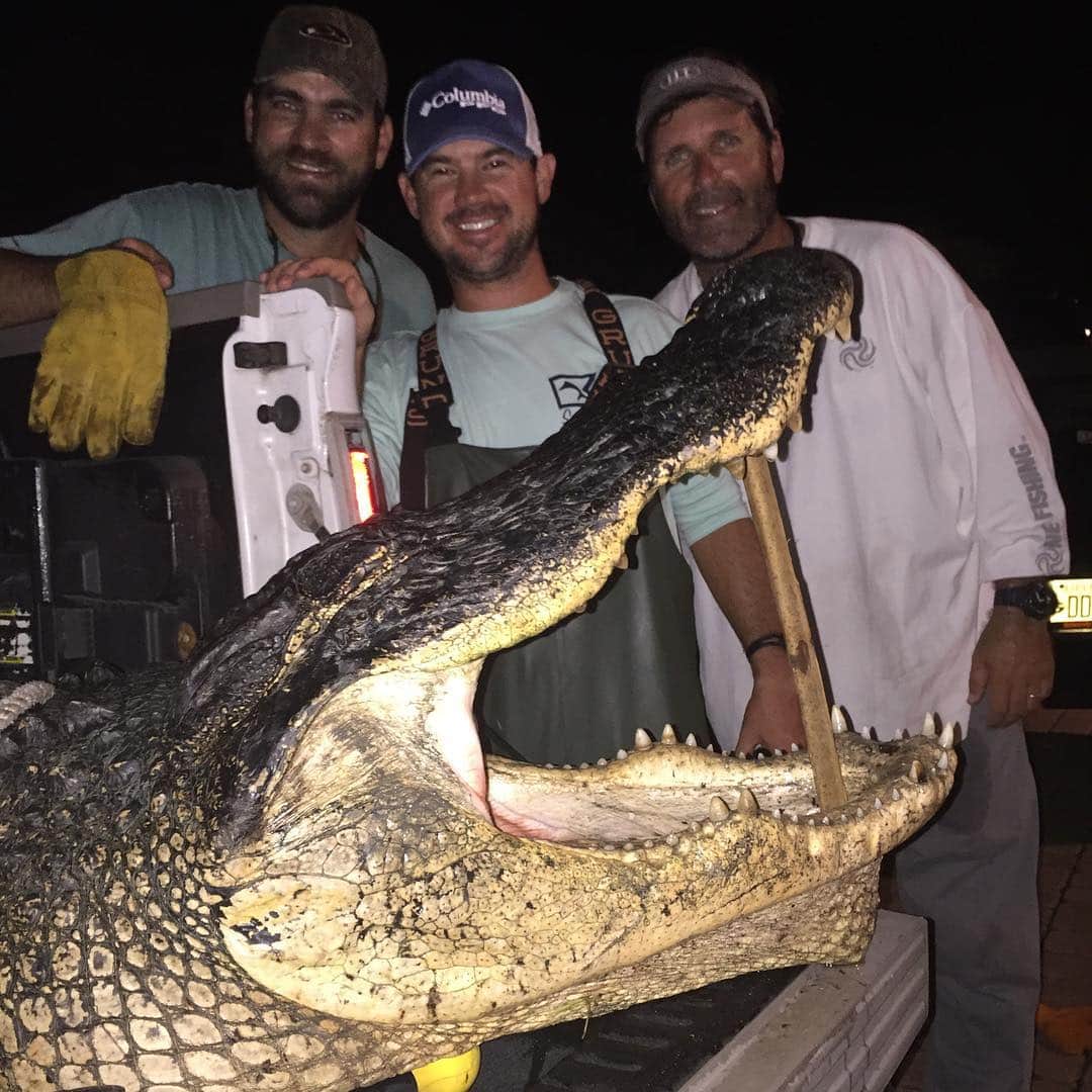 ブライアン・ハーマンのインスタグラム：「Big fella.」