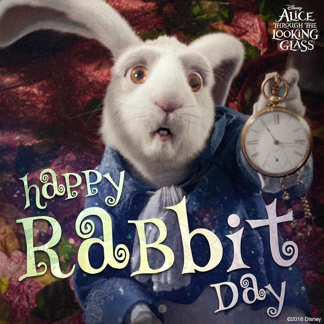 Disney Aliceのインスタグラム：「Don't be late for a very important date! It's #InternationalRabbitDay. 🐰」
