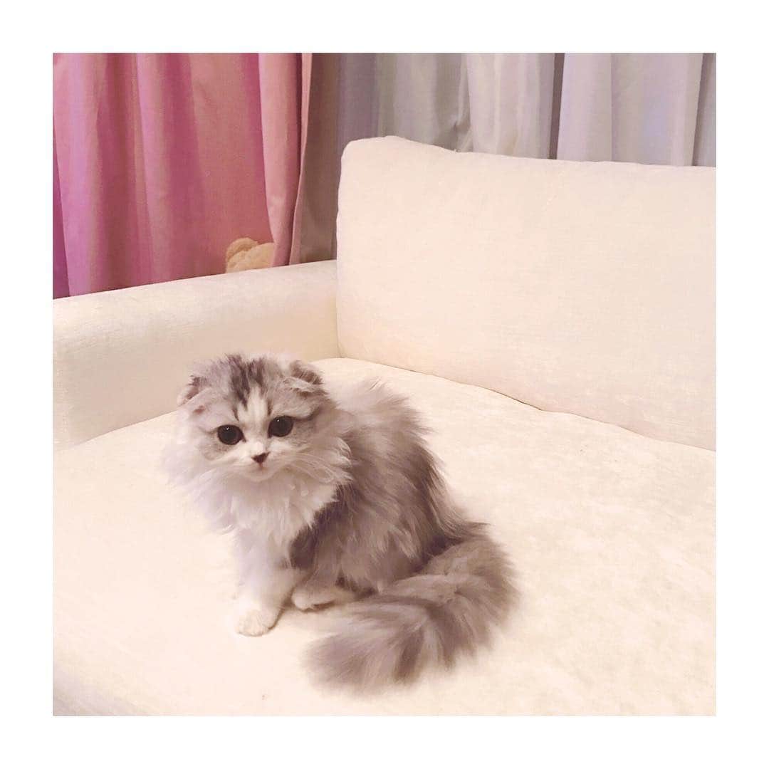 けむしちゃんのインスタグラム：「💞💞」