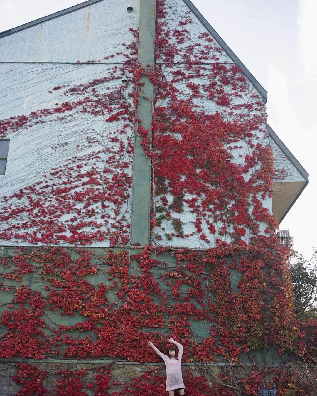 三原勇希さんのインスタグラム写真 - (三原勇希Instagram)「函館じゅうでこの壁が一番好きかも。 #三原勇希函館なう」10月25日 19時47分 - yuukimeehaa