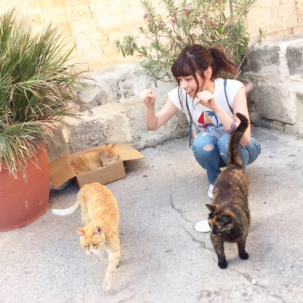 西野七瀬さんのインスタグラム写真 - (西野七瀬Instagram)「猫に囲まれて嬉しそうな、にゃにゃせまる。 #西野七瀬 #風を着替えて」10月21日 15時01分 - nanase_kazewokigaete