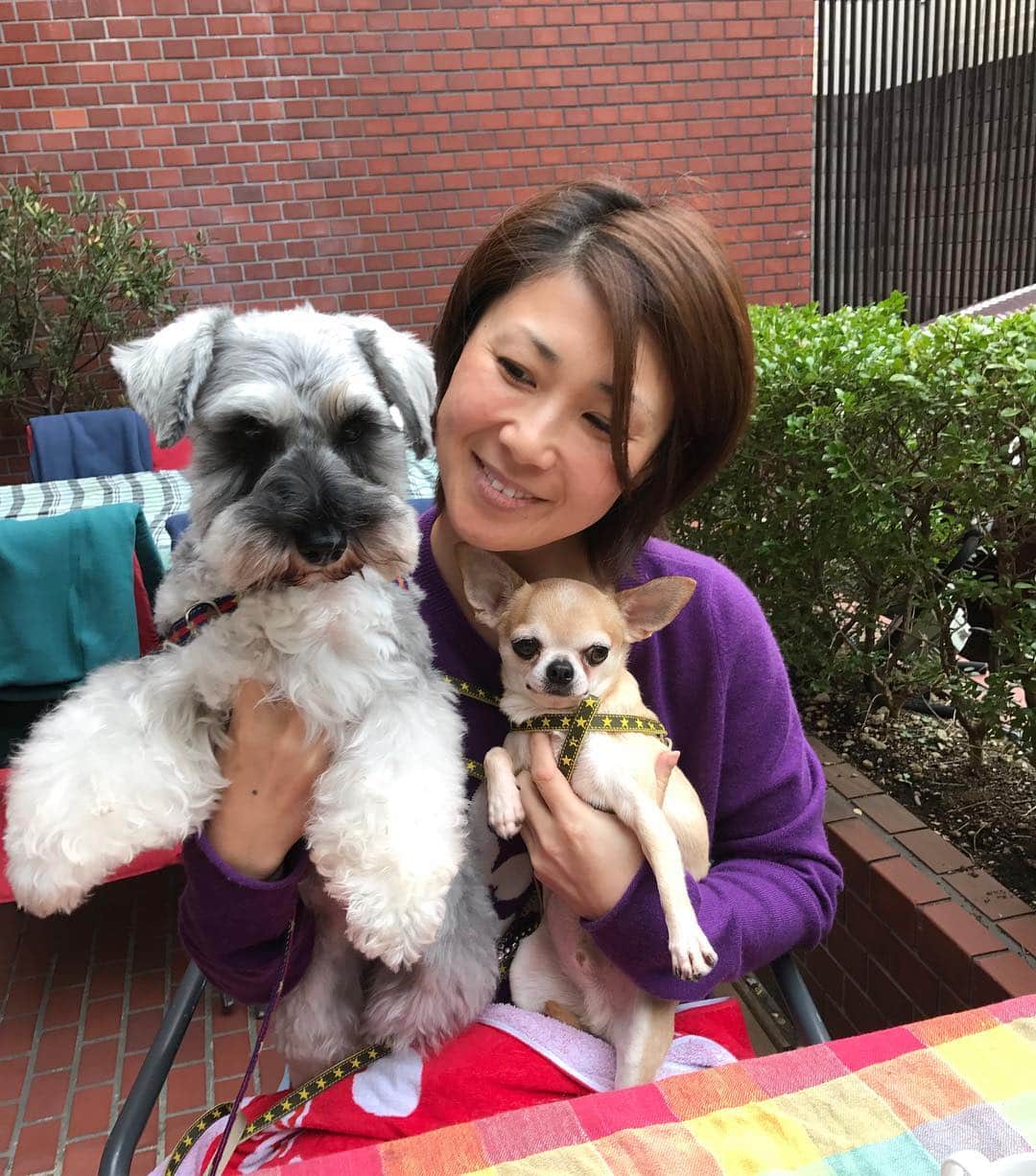 高橋みゆきのインスタグラム：「ミポリンと子連れて🐶ランチしたよ🍝 #ランチ #自由が丘 #ローたん #ナーたん  #古閑美保 #明るい時に会うのもいい」