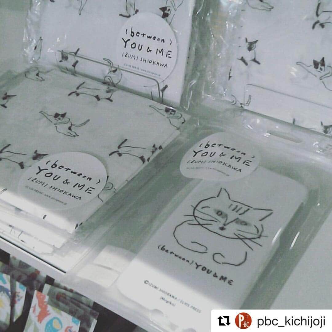 吉祥寺PARCOのインスタグラム：「【地下2階 パルコブックセンター】  #Repost @pbc_kichijoji with @repostapp ・・・ 塩川いづみさんイラスト(between)YOU&MEのグッズもちょこっとあります。名古屋ONREADINGさん発「ELVIS PRESS」製。  #塩川いづみ#猫#ねこ #愛猫祭#POPMOTTO #cat #10月30日まで #吉祥寺パルコ」