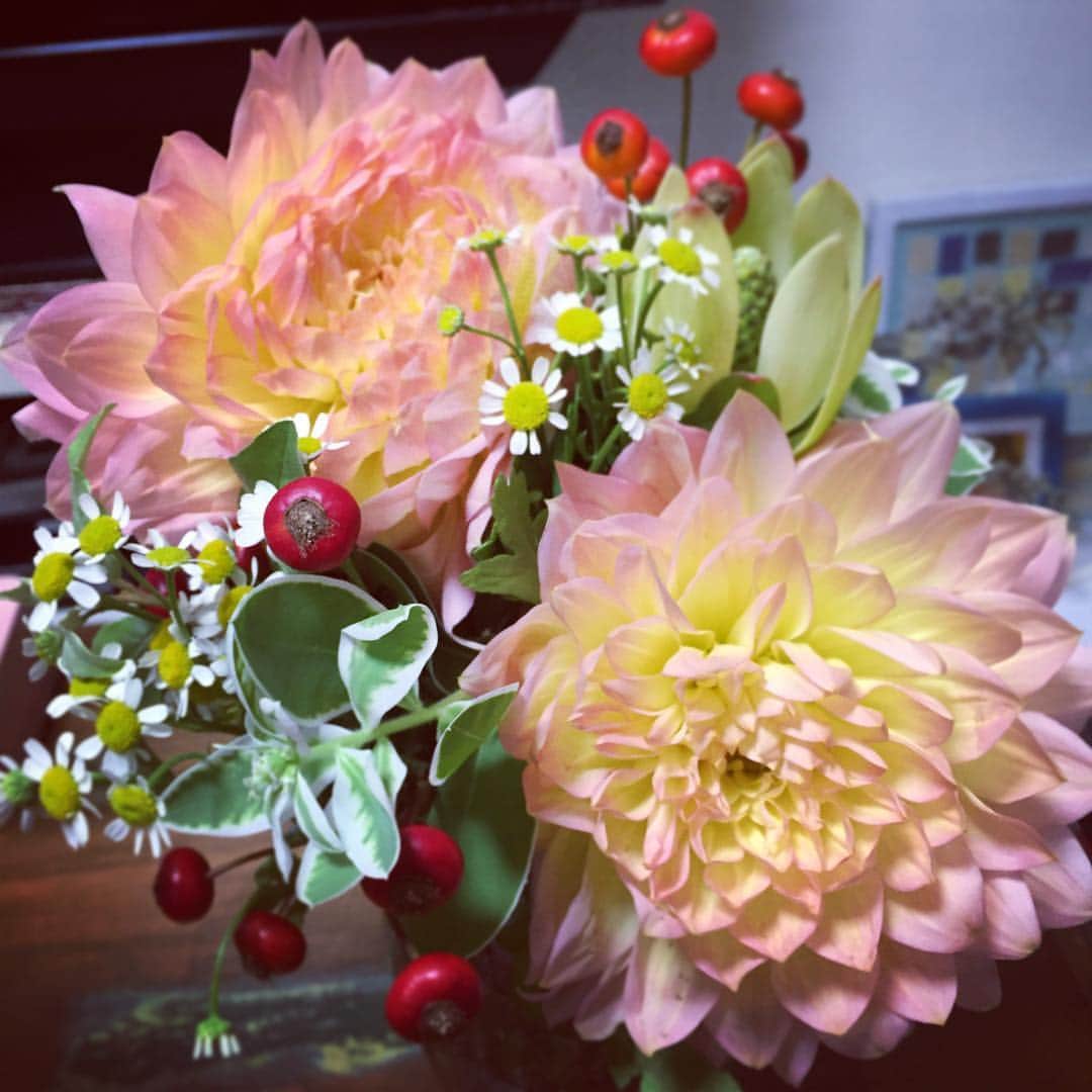 太田彩乃さんのインスタグラム写真 - (太田彩乃Instagram)「#goodmorning #Flower #flowerstagram #instahappy」10月23日 8時11分 - ayano.ohta