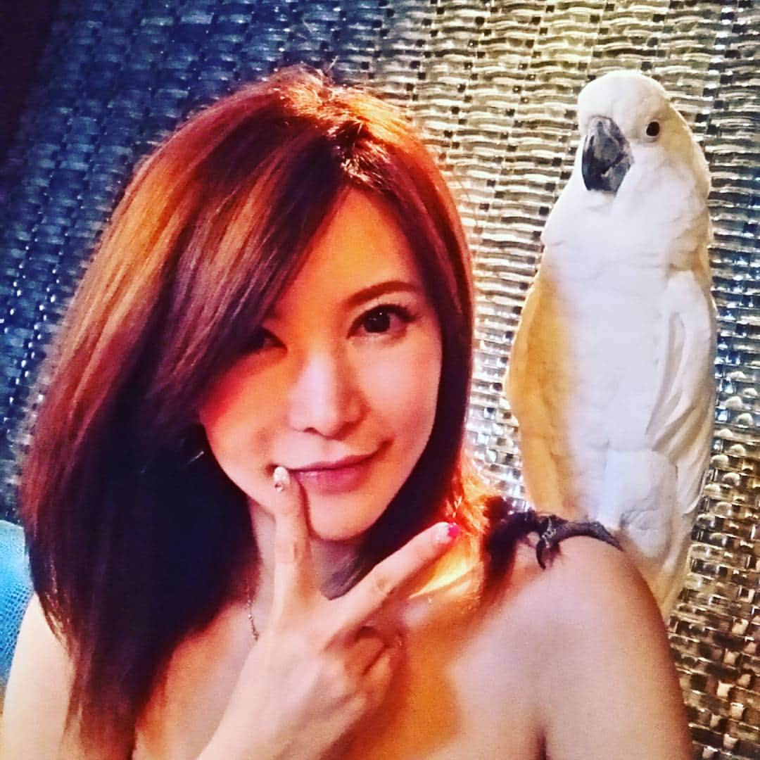 里美ゆりあのインスタグラム：「鳥w #鳥#birds#オウム#六本木#roppongi」